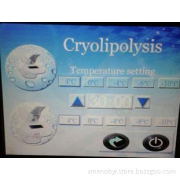 Rapidly Arm Fat Cell Cryolipolysis Slimming Machine for Wei